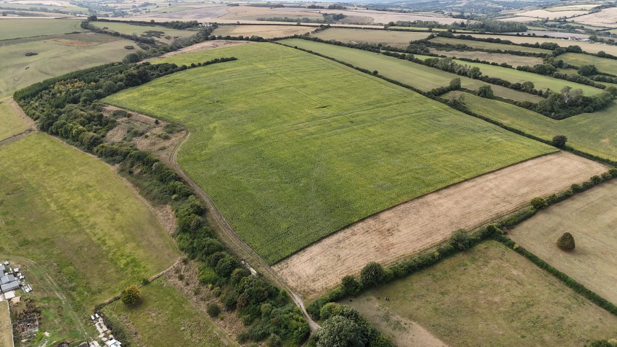 276.92  Farm, Cruxton Manor Farm, Cruxton, DT2 - Available, Image 3