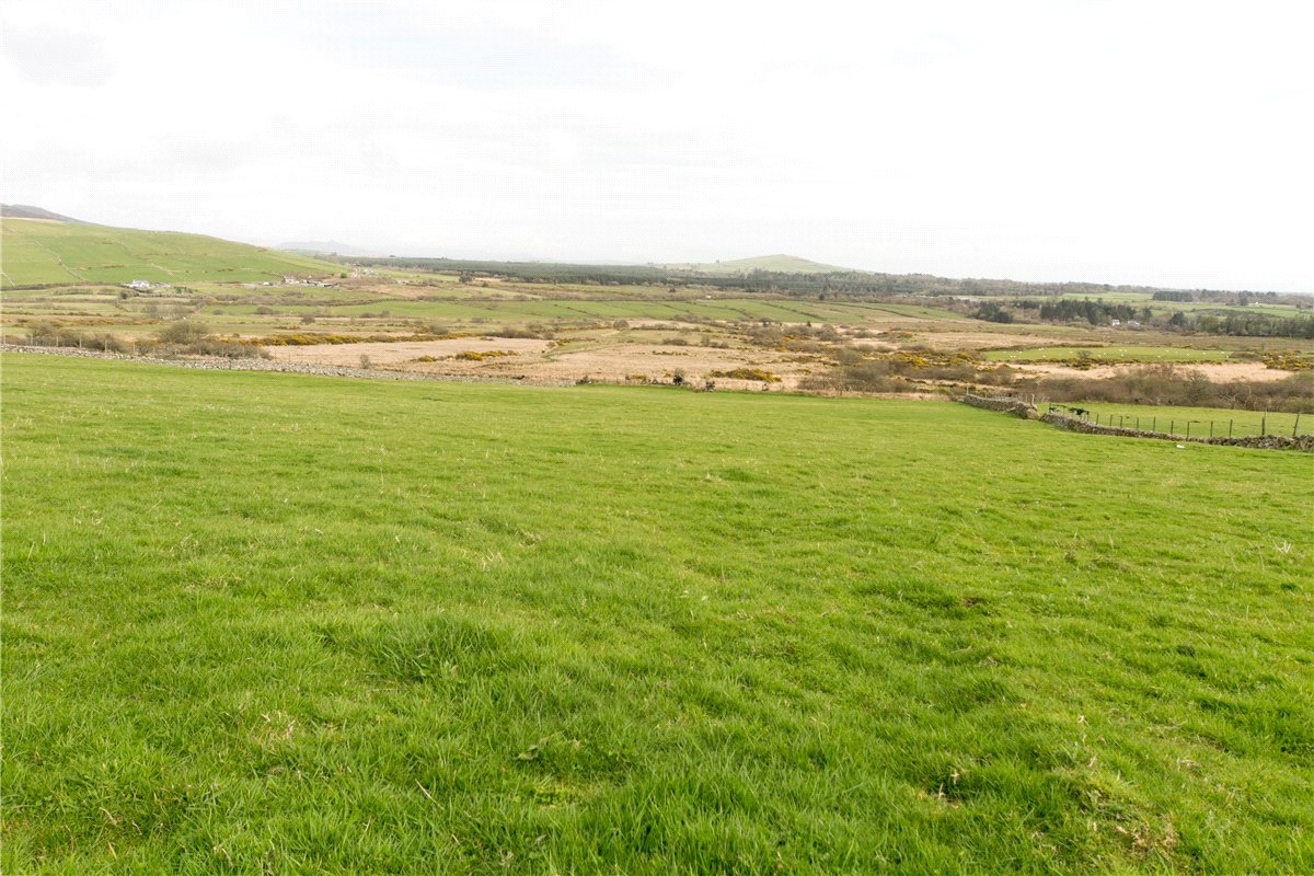 240.23  Farm, Llanaelhaearn, Caernarfon, LL54 - Available, Image 2