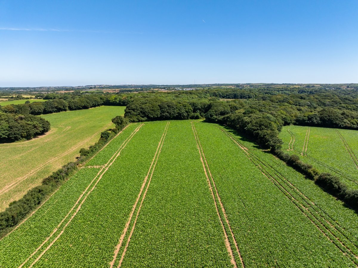 240  Land, Praze, Camborne, TR14 - Sold, Image 7