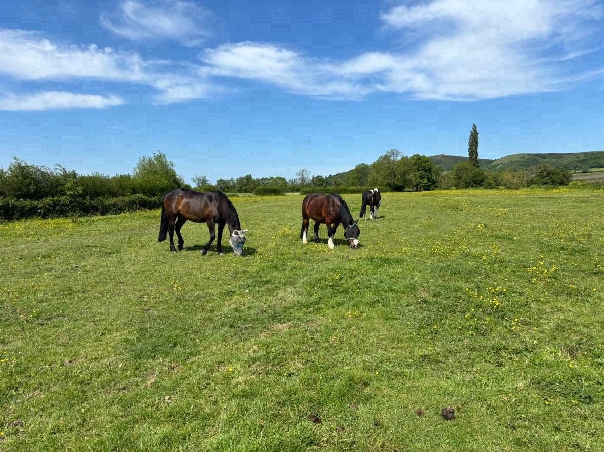 5.86  Land, Lot 2: Land At Compton Bishop Farm, Axbridge, BS26 - Sold STC, Image 2