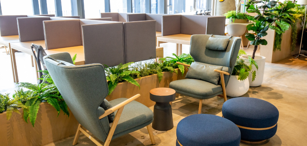 Modern office workspace with gray privacy dividers, blue armchairs, round ottomans, and potted ferns creating a biophilic design.
