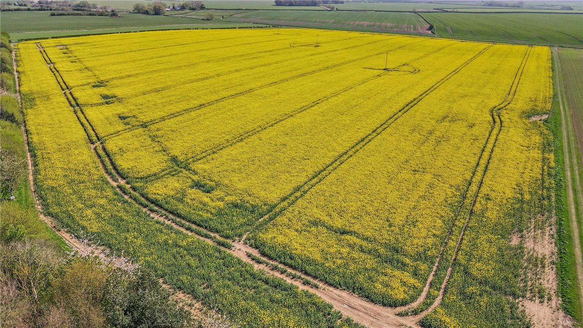   Land, Lot 2 - Land At Beeford and Foston, Driffield, YO25 - Sold STC