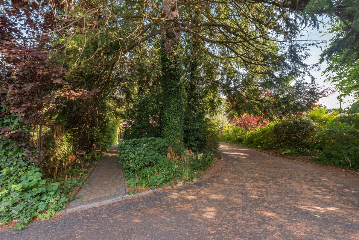 3 bedroom Bungalow, Stockbridge Road, Winchester, SO22 - Available, Image 9