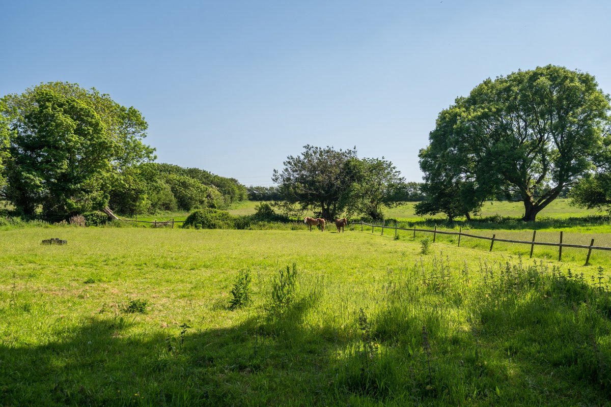 78.63  Farm, Callestick, Truro, TR4 - Available, Image 19