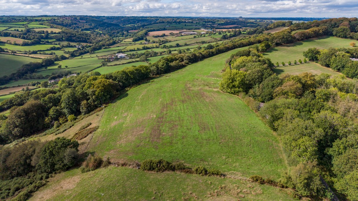 127.45  Farm, Northleigh, Colyton, EX24 - Available, Image 30