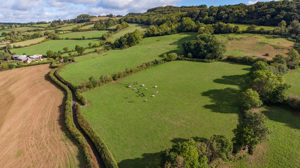 68.36  Farm, Lot 1 Stockers Farm, Northleigh, EX24 - Available, Image 4