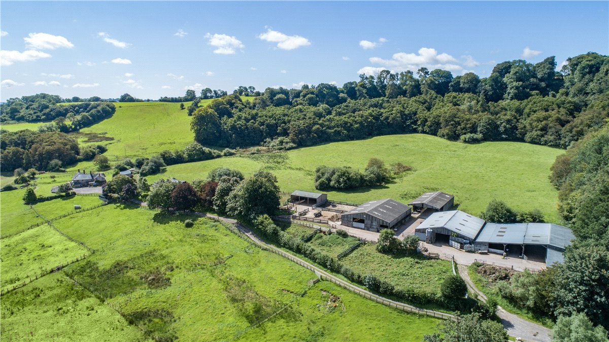227  Farm, Buckland St. Mary, Chard, TA20 - Available, Image 4