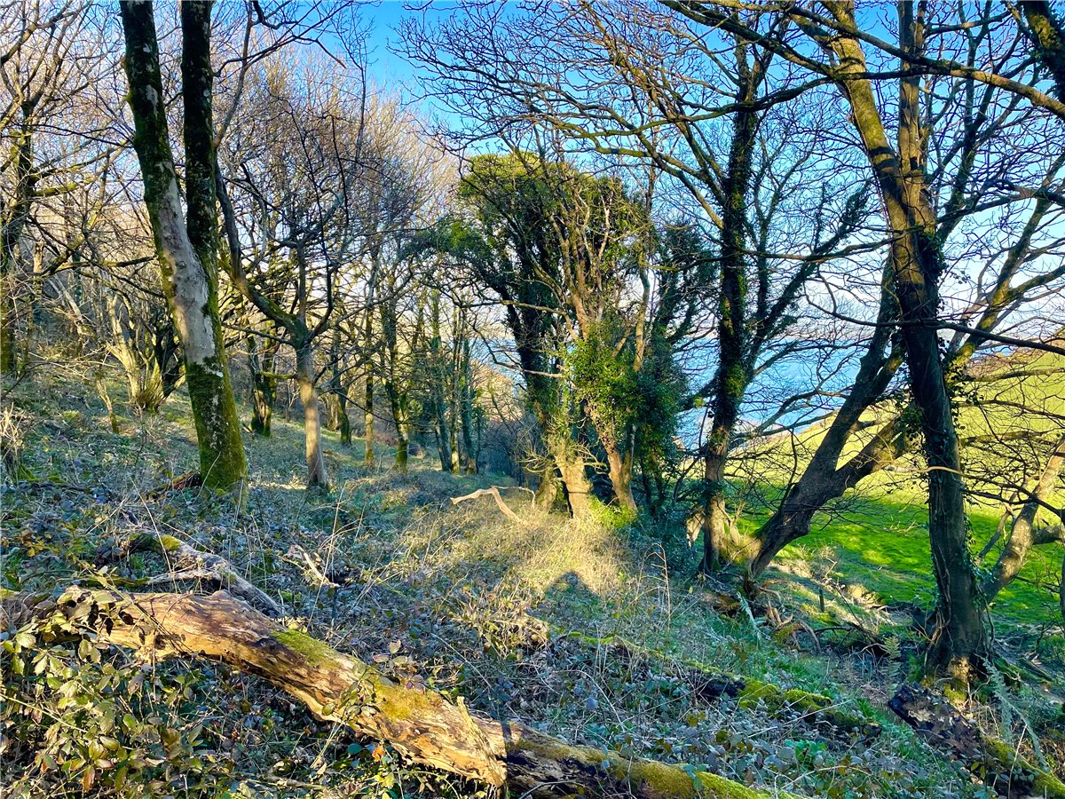 104.21  Land, Porthpean, St. Austell, PL26 - Sold, Image 1