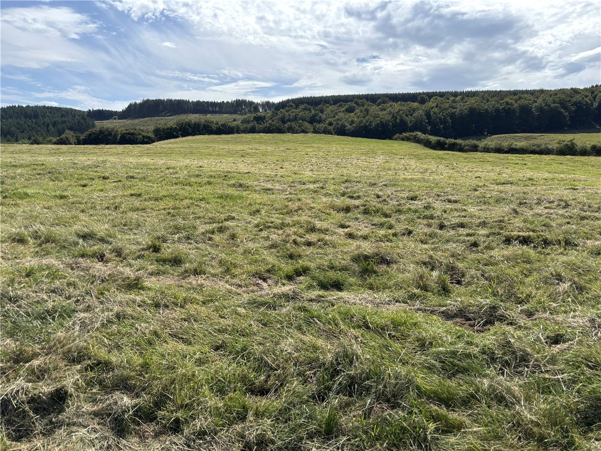   Farm, Lot 3 - Prospect Farm, Cockermouth, CA13 - Available, Image 2