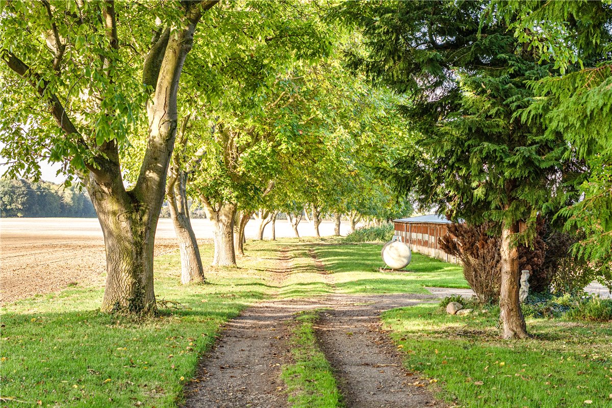   Land, London Hill, Babraham, CB22 - Available, Image 16