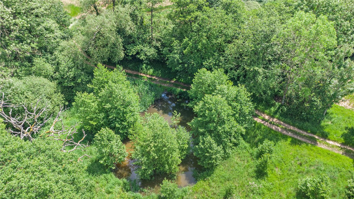 77.2  Land, Broad Lane, Upper Bucklebury, RG7 - Available, Image 11