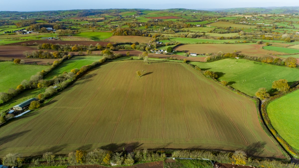 30.39  Land, Lot 2: Land At Butsons Farm, Greenham, TA21 - Sold