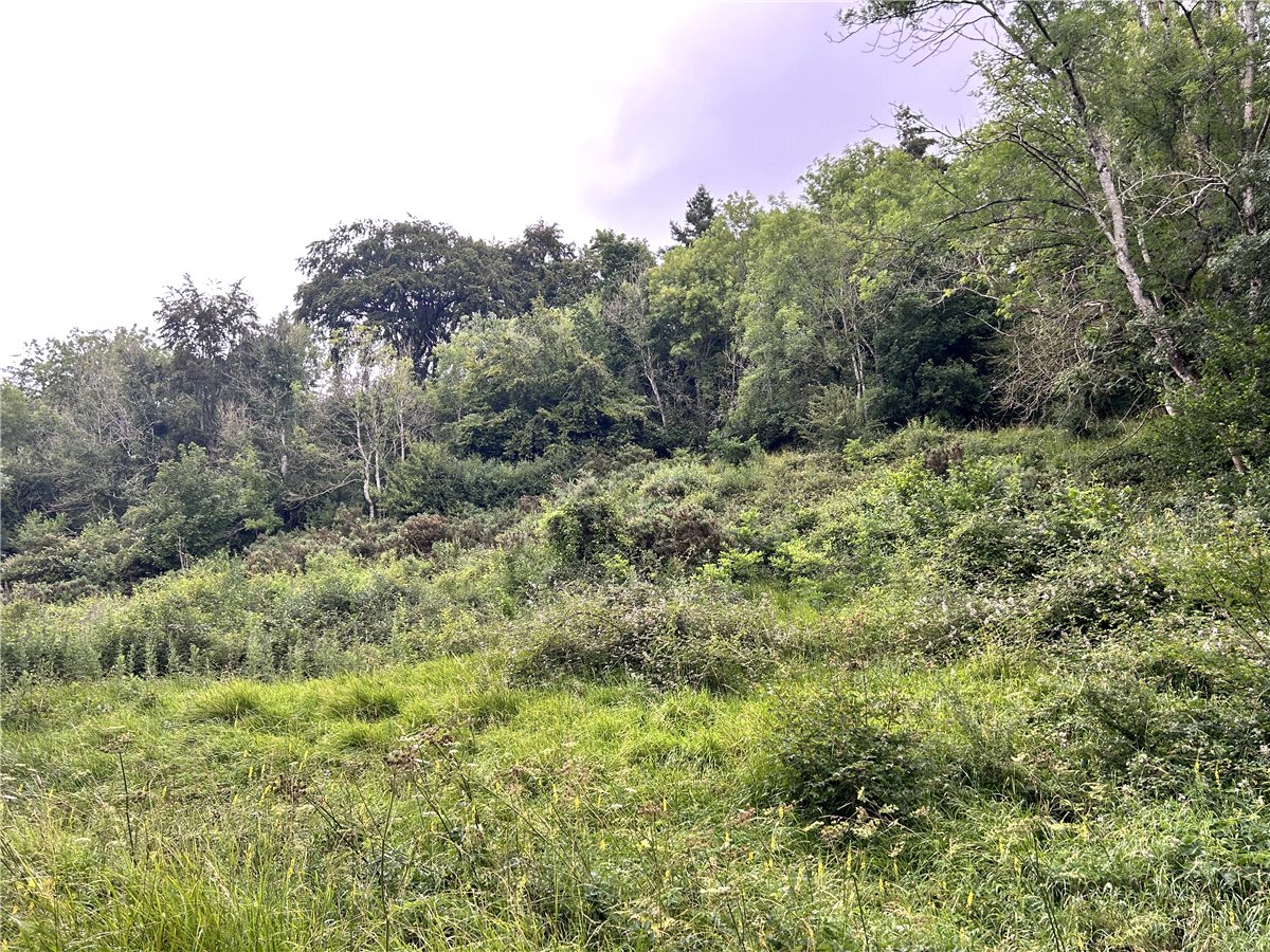 50.31  Land, The Street, Castle Combe, SN14 - Sold, Image 3