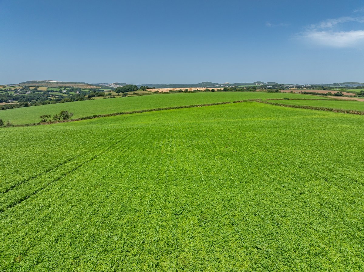 49.79  Land, Land At Resugga Farm, St. Stephen, PL26 - Sold STC, Image 4