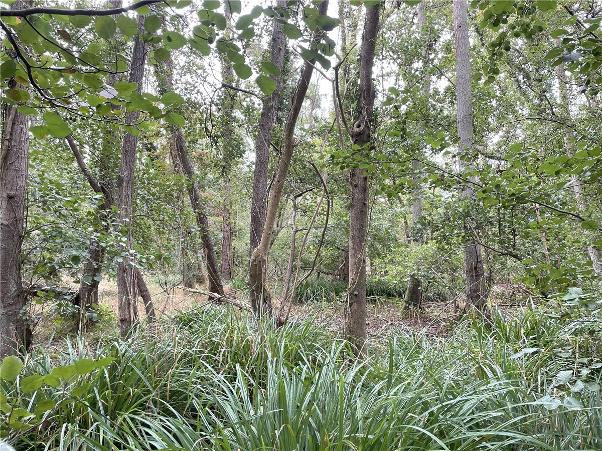 3.84  Land, Whittlesford, South Cambridgeshire, CB22 - Available, Image 5