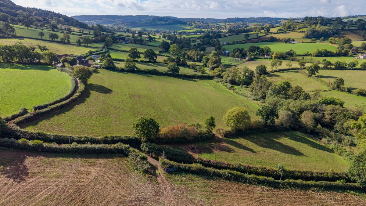 7.86  Land, Lot 4, Land At Stockers Farm, Northleigh, EX24 - Available