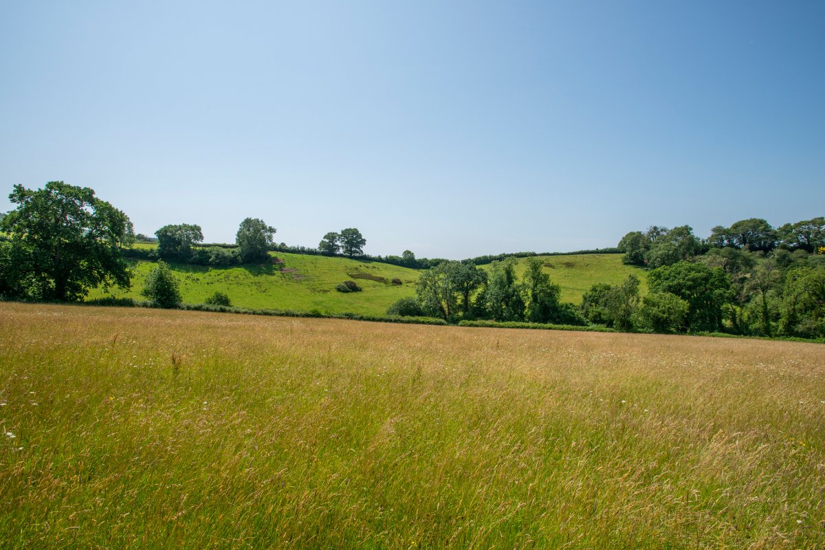 36.91  Farm, East Hill, Ottery St. Mary, EX11 - Sold, Image 6