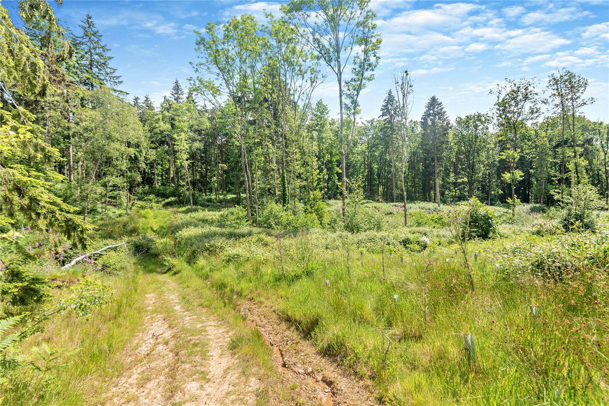 77.2  Land, Broad Lane, Upper Bucklebury, RG7 - Available, Image 8