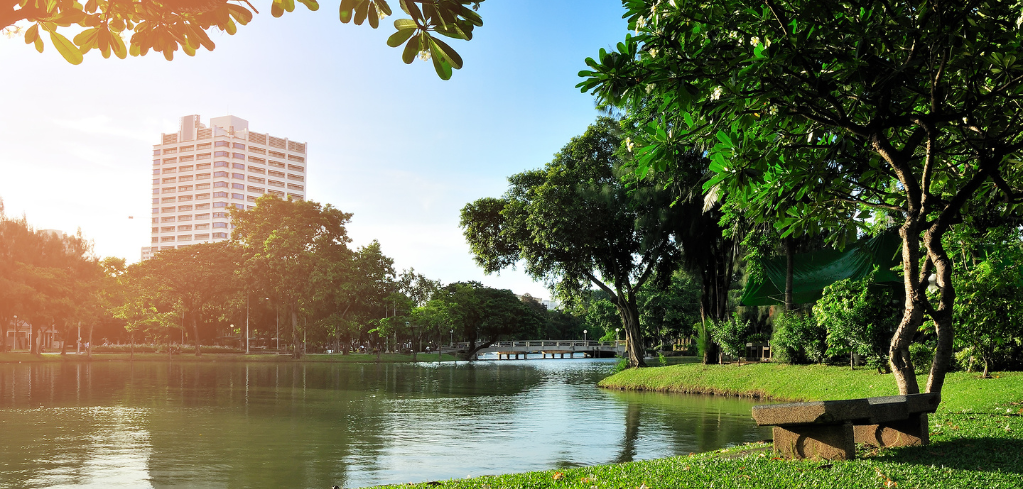 Serene urban park with a calm lake, lush green trees, a stone bench, and a tall building in the background under blue sky.