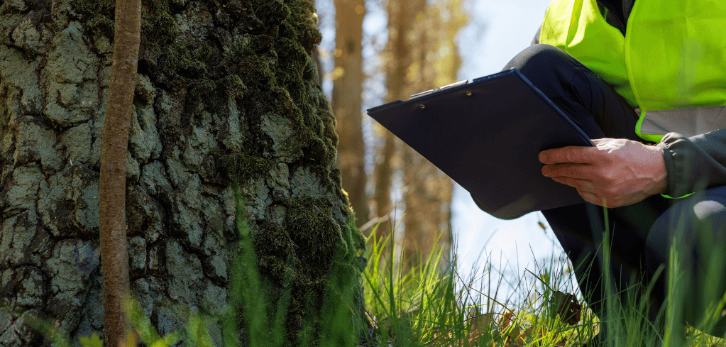 Carter Jonas LLP — A worker in a yellow safety vest crouches in a forest, writing on a clipboard near a moss-covered tree trunk.