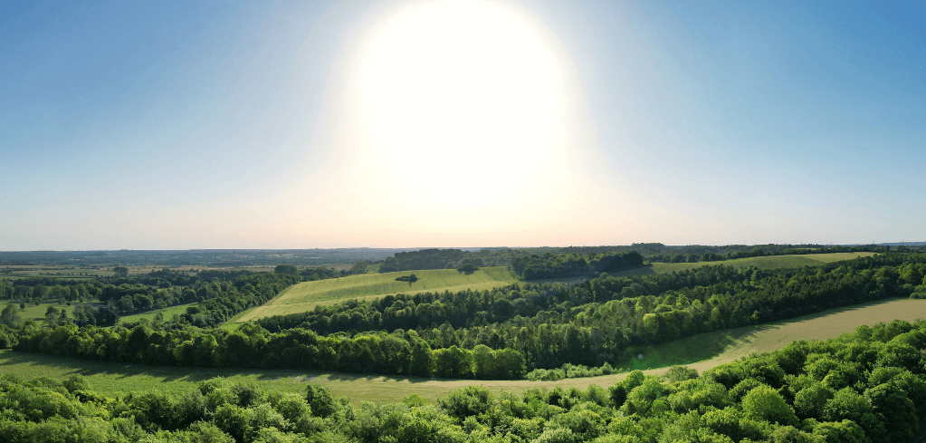 Panoramic view of lush green rolling hills and trees under a bright sun in a clear blue sky.