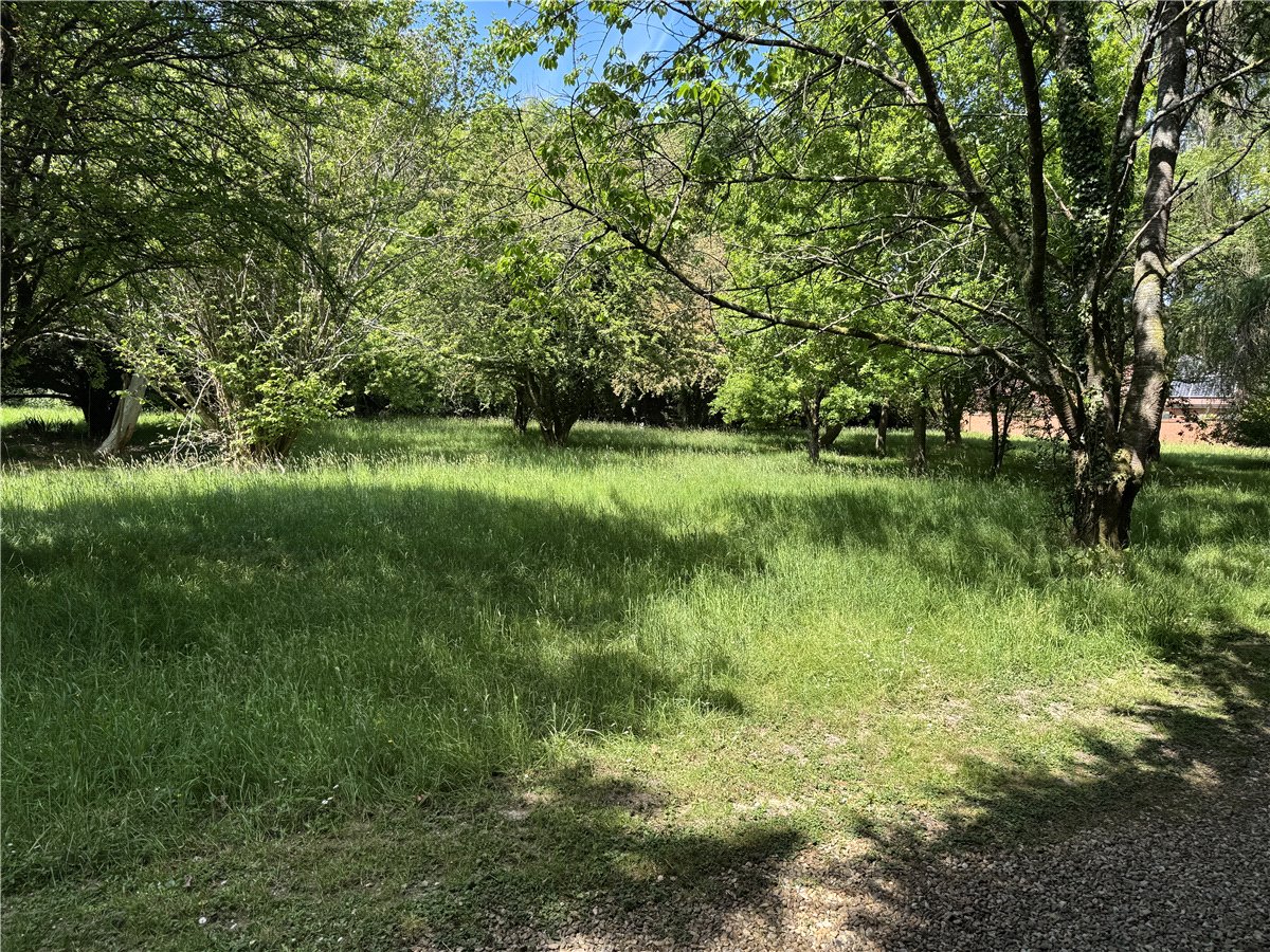1  Development Land, Andover Road, Highclere, RG20 - Available, Image 8