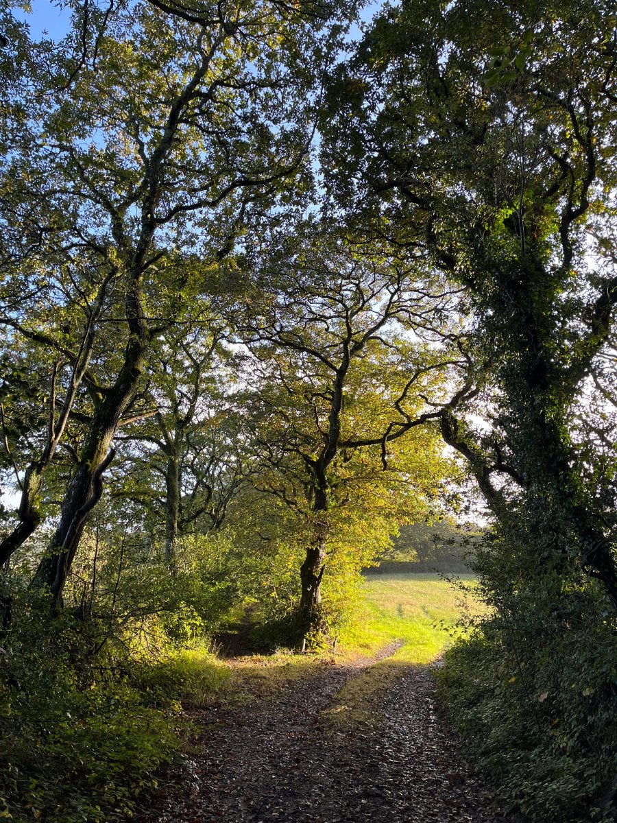 70.72  Land, Zelah, Truro, TR4 - Sold, Image 1