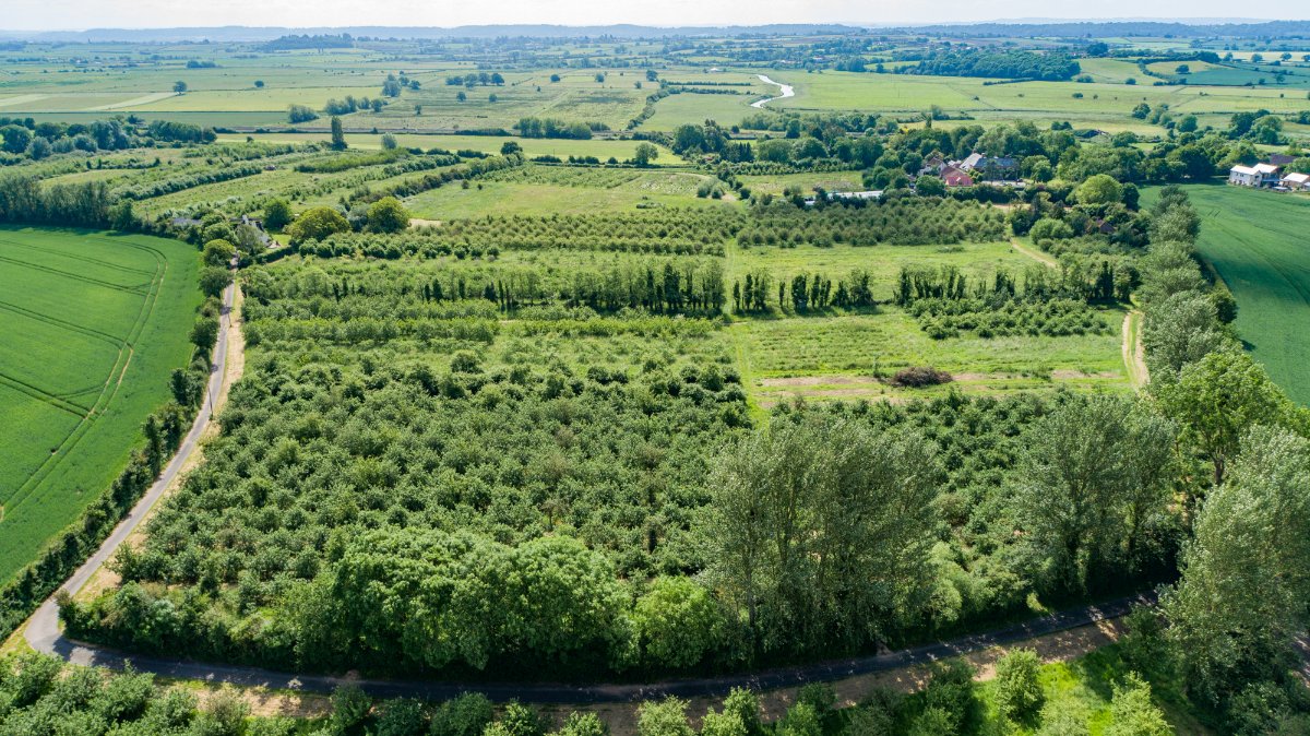 4 bedroom House, Charlton Road, Creech St. Michael, TA3 - Sold, Image 17