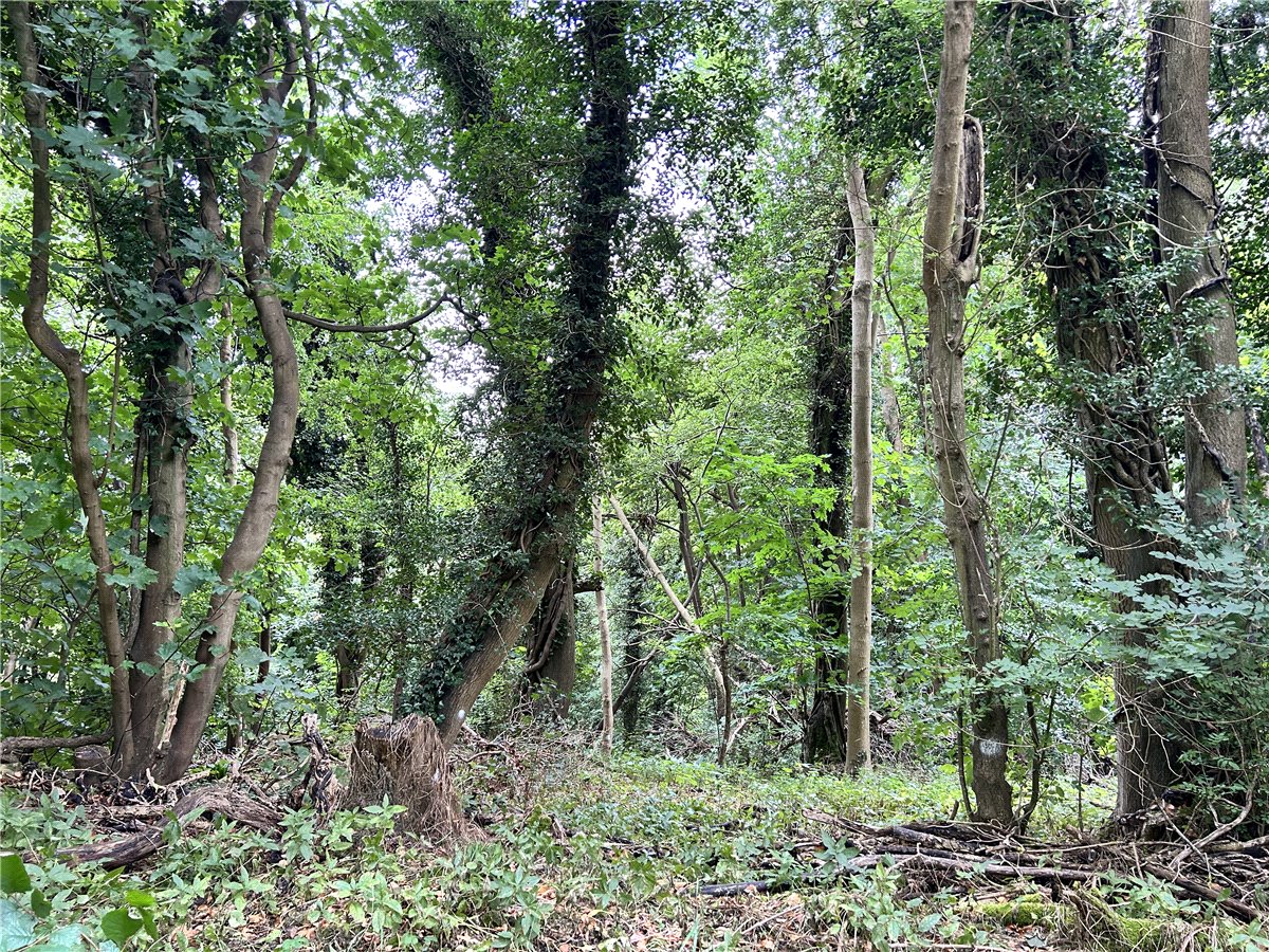 50.31  Land, The Street, Castle Combe, SN14 - Sold, Image 5