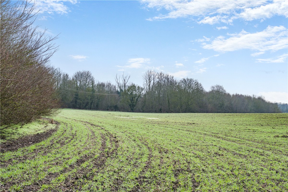   Land, Land At Wixoe, Stoke By Clare, CO10 - Available, Image 4
