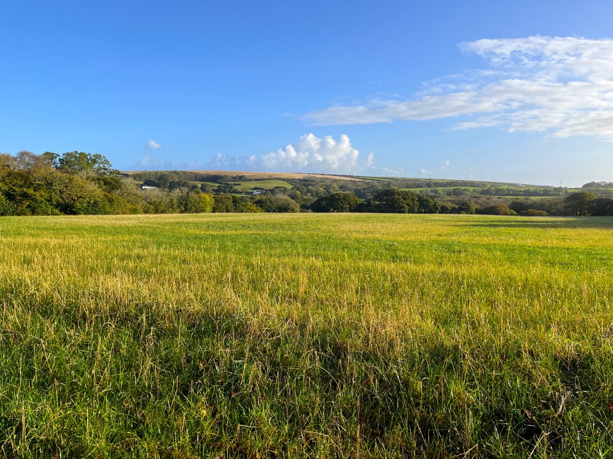 70.72  Land, Zelah, Truro, TR4 - Sold, Image 15