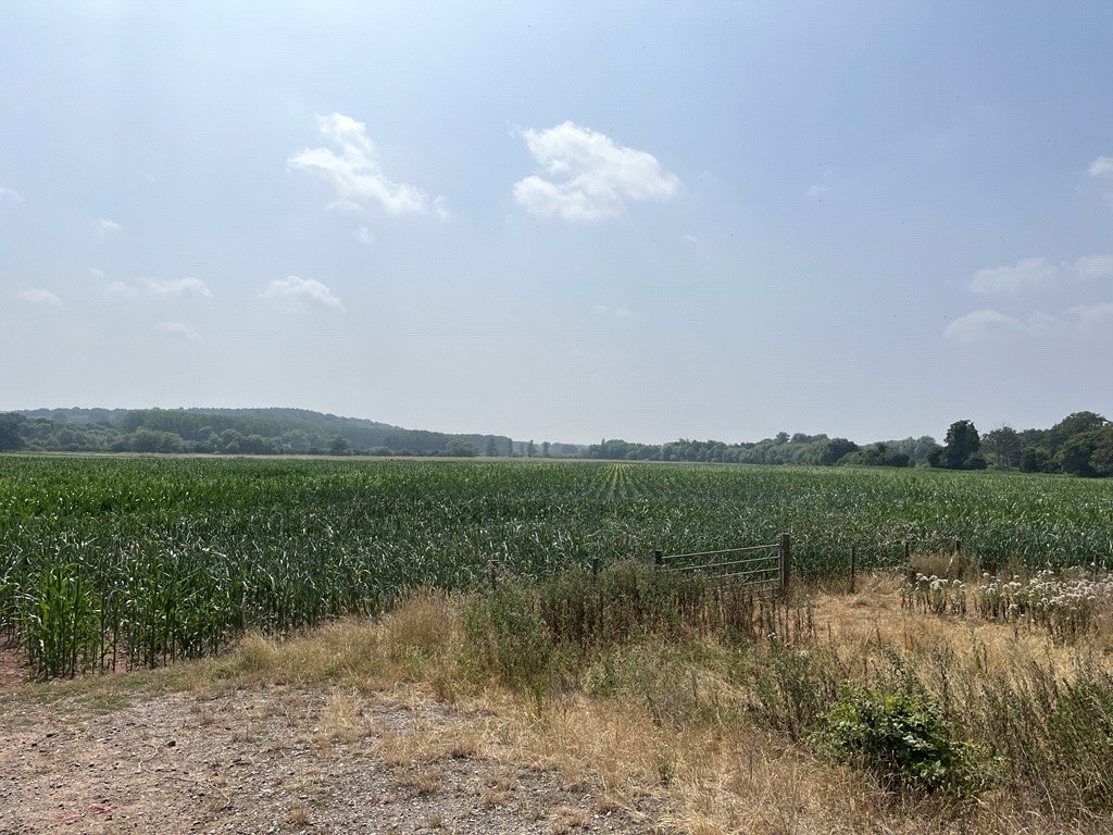 50.43  Land, Ingestre, Stafford, ST18 - Available