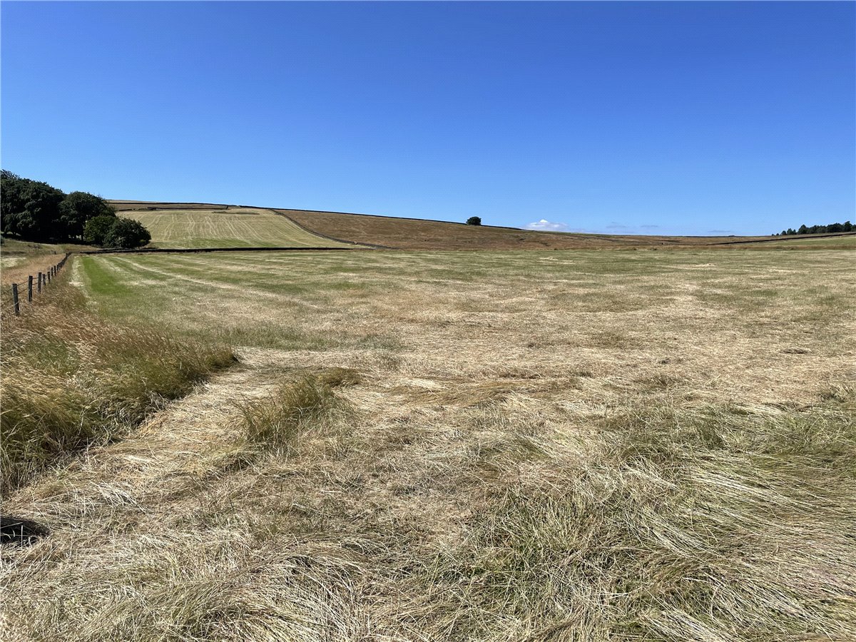 219.09  Land, Ughill, Bradfield, S6 - Sold, Image 7