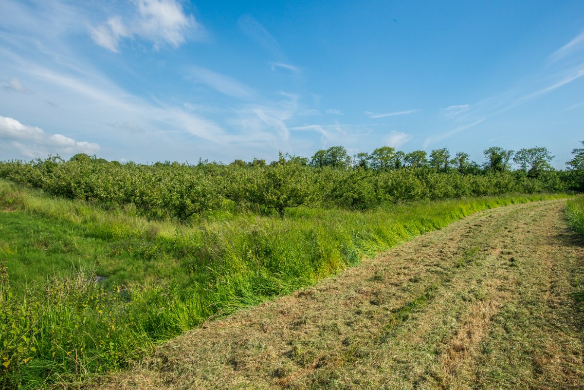 4 bedroom House, Charlton Road, Creech St. Michael, TA3 - Sold, Image 9