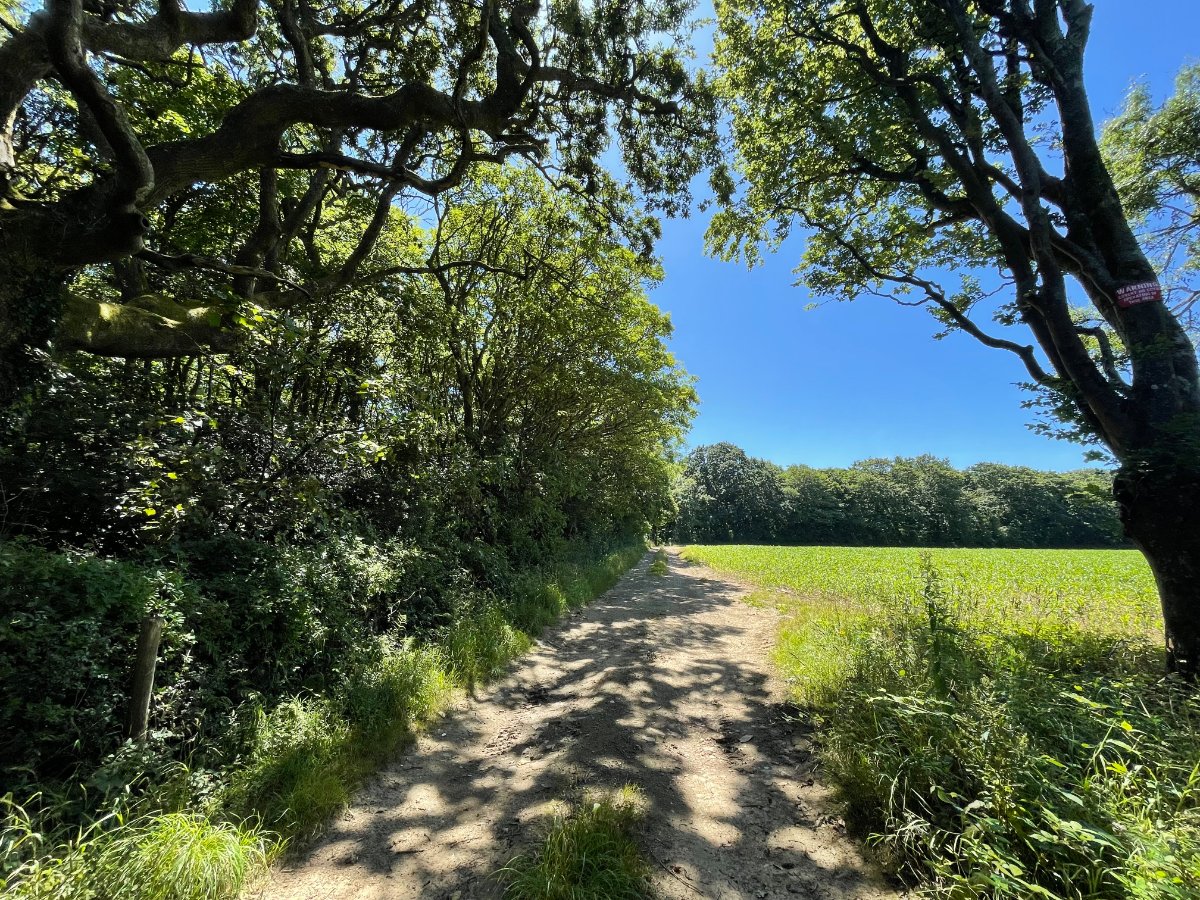 240  Land, Praze, Camborne, TR14 - Sold, Image 14