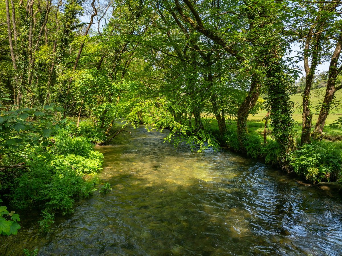 45.57  Farm, Golberdon, Callington, PL17 - Sold, Image 31