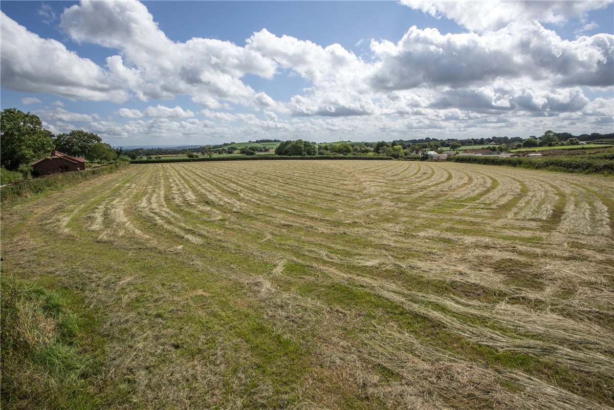 5.01  Land, Lot 4: Land At Splatt Lane, Spaxton, TA5 - Sold, Image 2