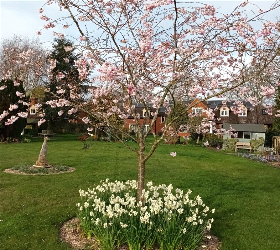 5 bedroom House, Netherton Road, Appleton, OX13 - Sold, Image 10