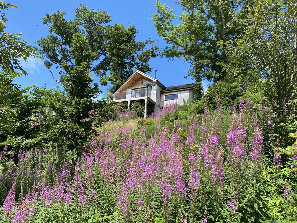 0 to 2.3 acres, Llangyniew, Welshpool, SY21 - Available, Image 6