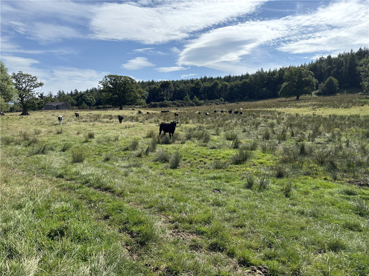   Land, Lot 2 - Prospect Farm, Cockermouth, CA13 - Available, Image 7