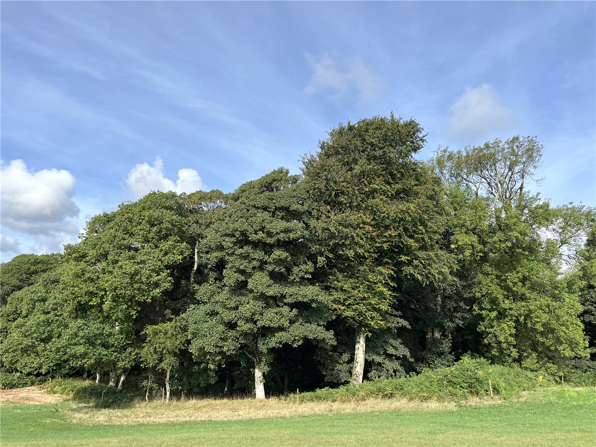 36.69  Land, Boduan, Pwllheli, LL53 - Available