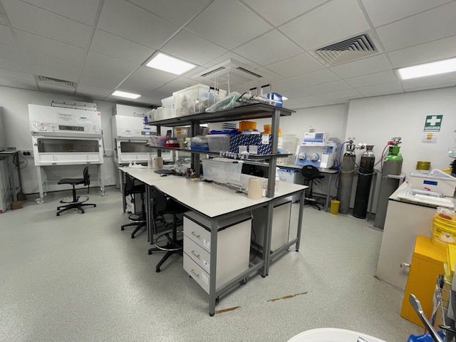 7390 Sq Ft, Nelson Street, Manchester, M13 - Available, Image 4