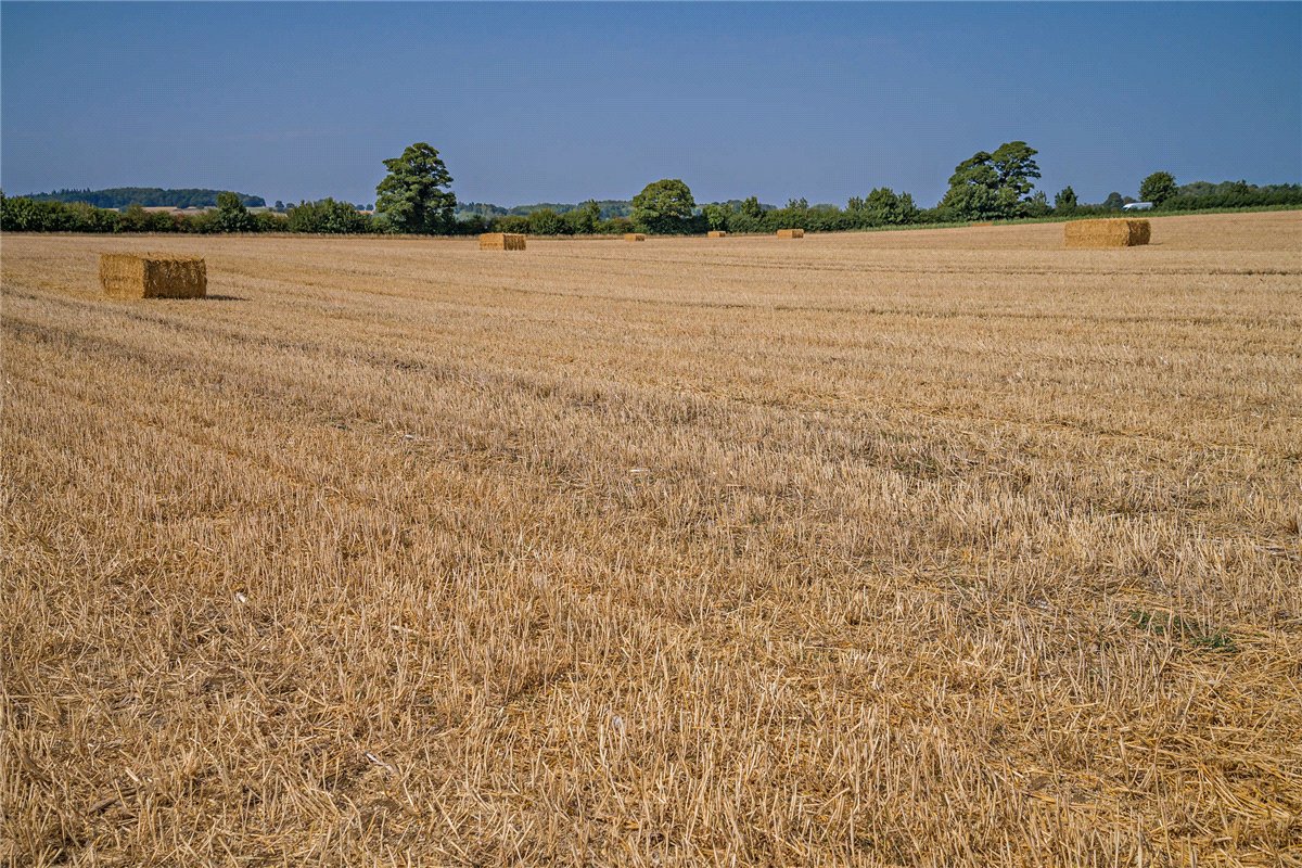 0 bedroom Barn Conversion, Kings Lane, Longcot, SN7 - Available, Image 11