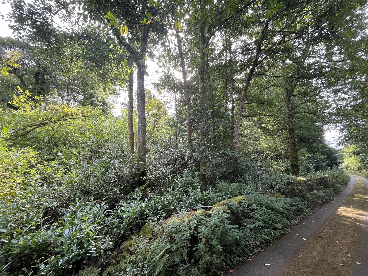 36.69  Land, Boduan, Pwllheli, LL53 - Available, Image 5