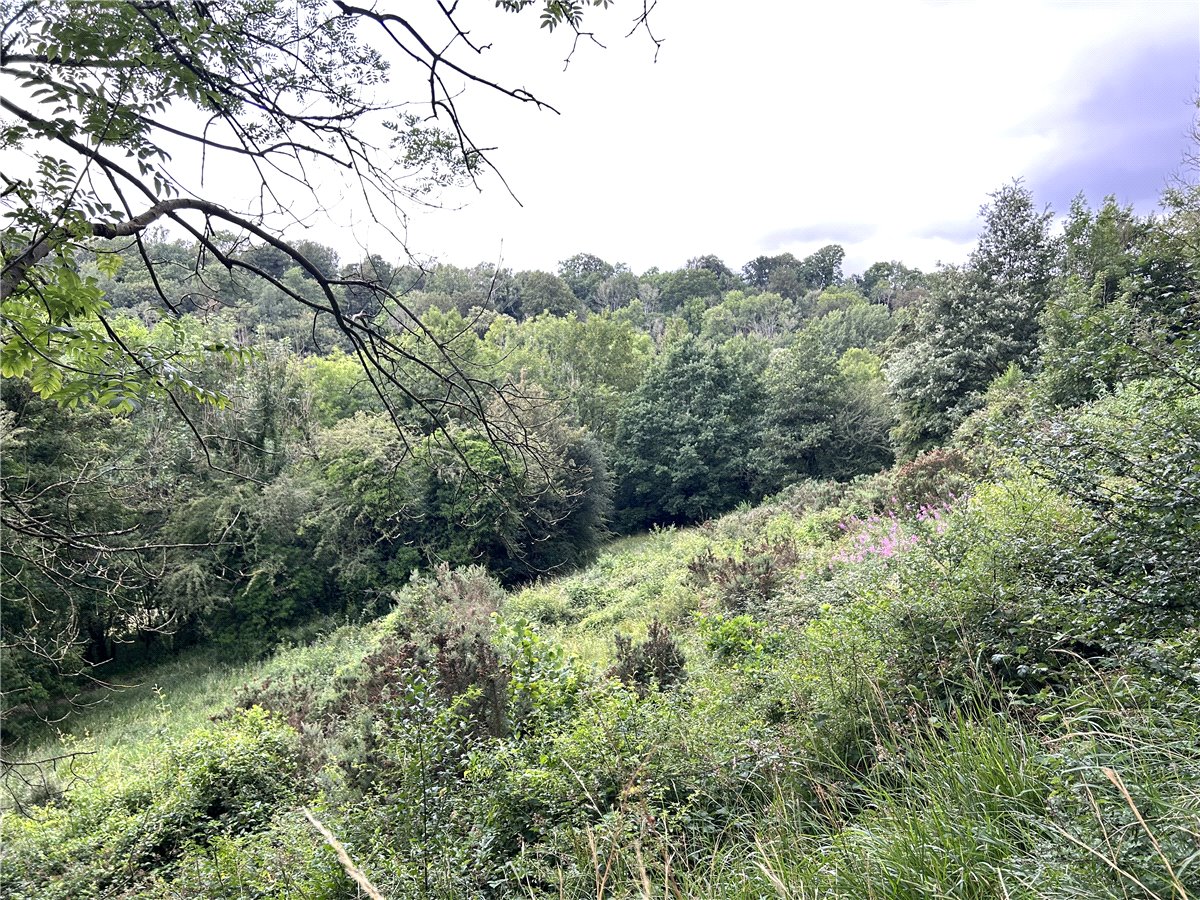 50.31  Land, The Street, Castle Combe, SN14 - Sold, Image 4