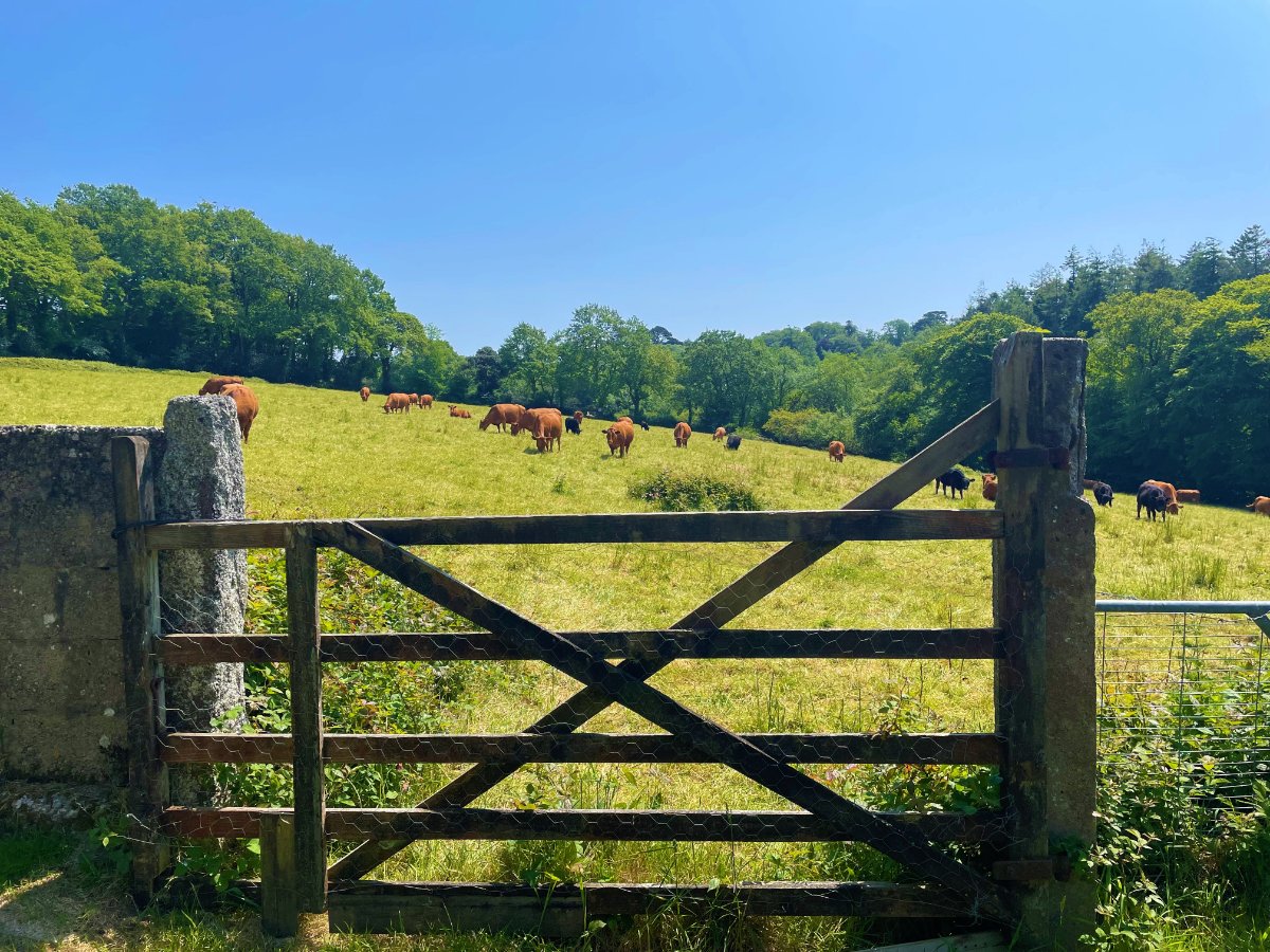 3 bedroom Cottage, Enys Hill, Penryn, TR10 - Sold, Image 27