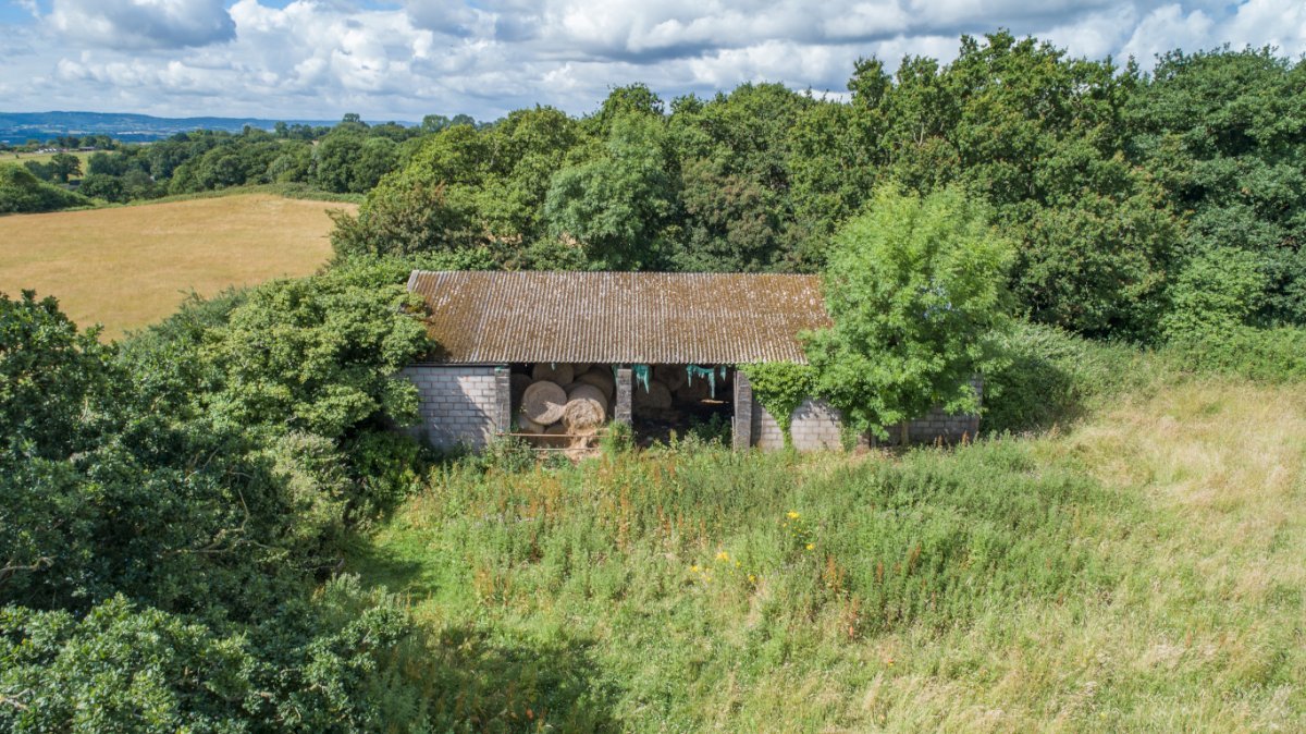 9.81  Land, Greenway Farm, Thurloxton, TA2 - Available, Image 2