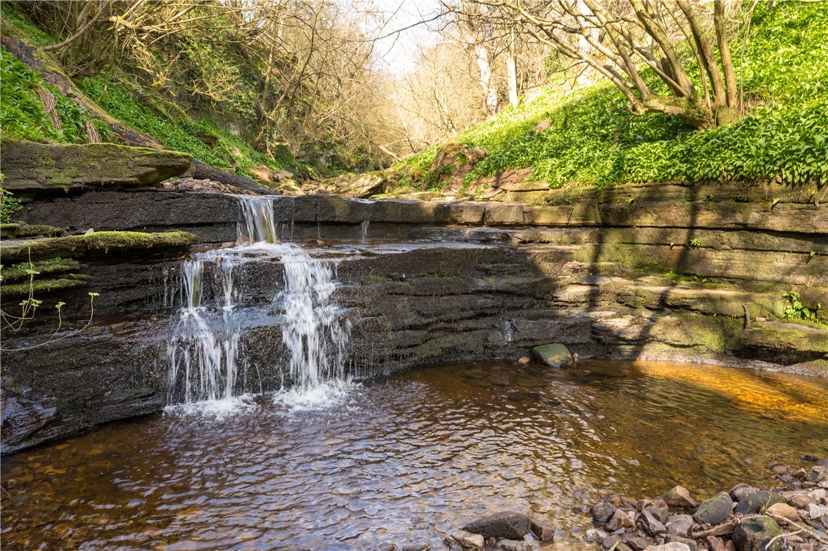   Farm, Hurst, Richmond, DL11 - Available, Image 11
