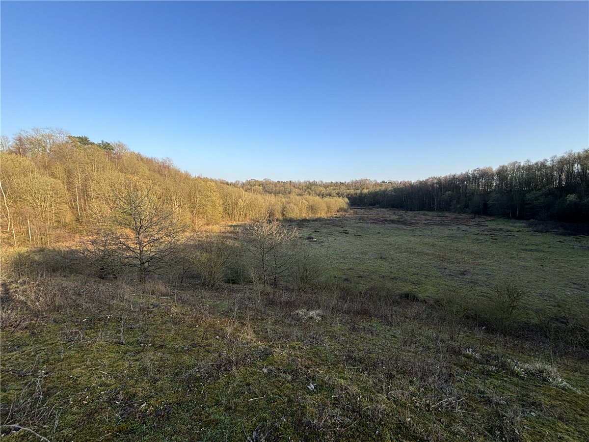 31.94  Land, Land At Charing, Charing, TN27 - Available, Image 2