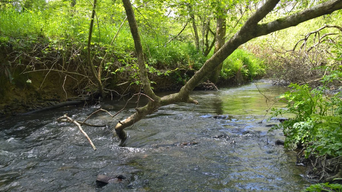 8 bedroom Residential, Buckland Brewer, Bideford, EX39 - Available, Image 16